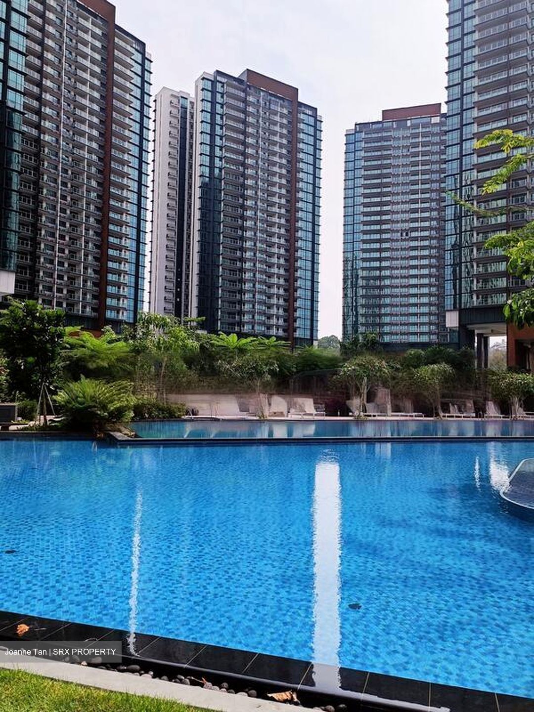 Normanton Park (D5), Apartment #459242191